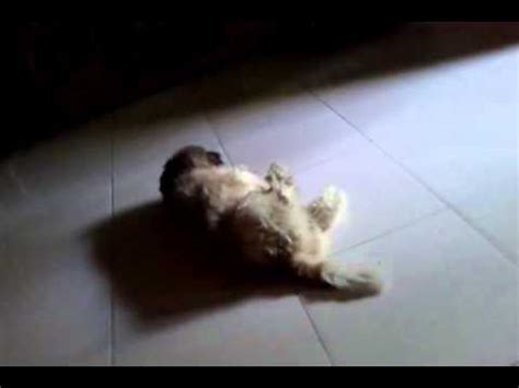 iyottube com|Iyottube .